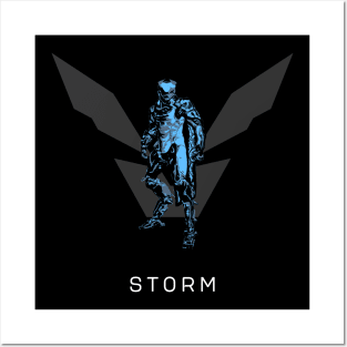 Storm Posters and Art